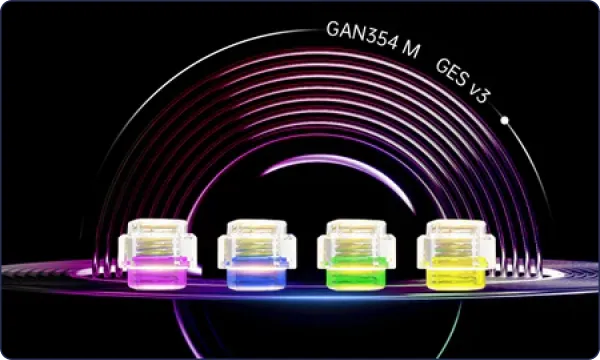 GAN Elasticity System (GES)