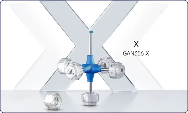 Numerical GAN Elasticity System (GES+)